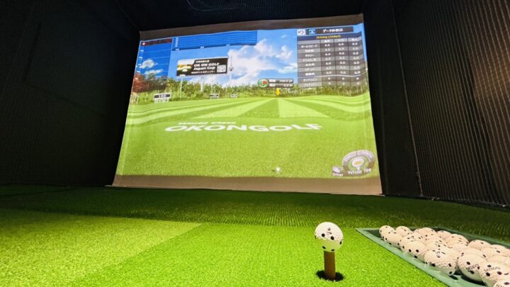 SMART GOLF 上十条３丁目店店舗画像4